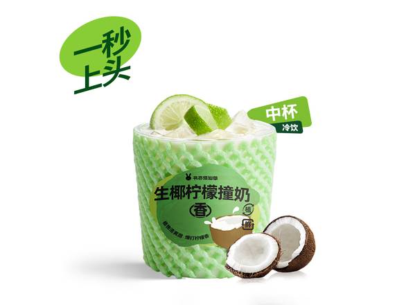 Raw Coconut Milk Tea (500ml) 生椰柠檬撞奶 (500ml)